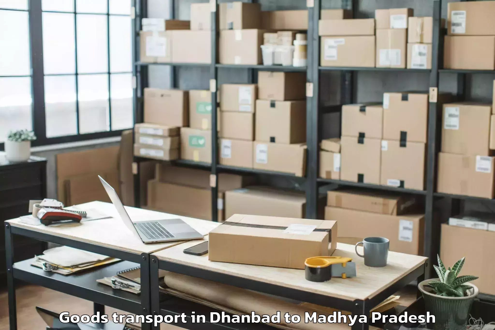 Book Your Dhanbad to Raghogarh Goods Transport Today